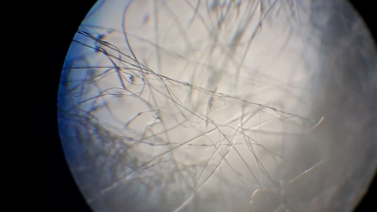 Electrospinning: Solution of Polystyrene in Ethyl Acetate